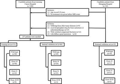 Comprehensive analysis of prediction of the EGFR mutation and subtypes based on the spinal metastasis from primary lung adenocarcinoma